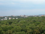 DSCN0017.jpg